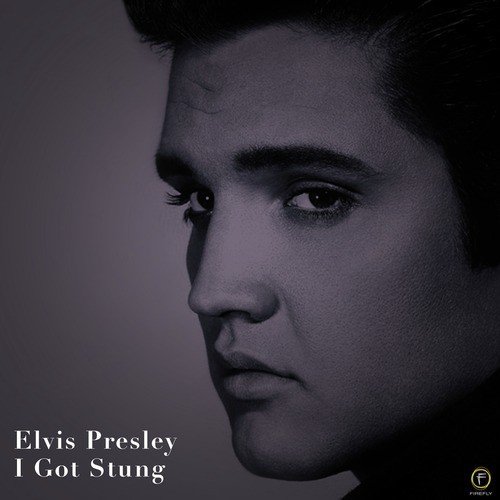 Have I Told You Lately That I Love You? Lyrics - Elvis Presley - Only on  JioSaavn