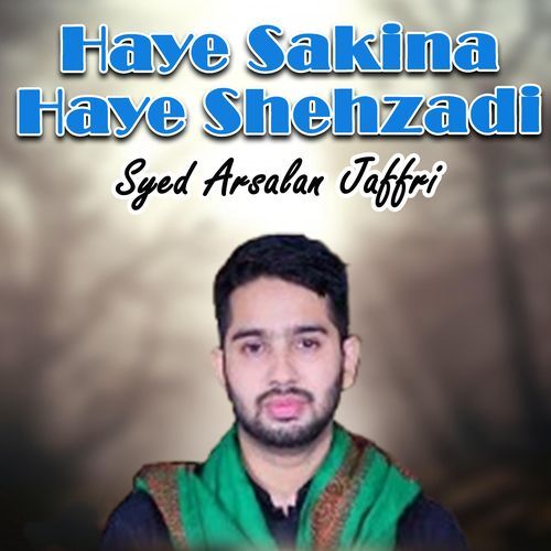 Haye Sakina Haye Shehzadi