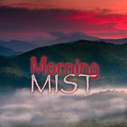 Morning Mist_poster_image