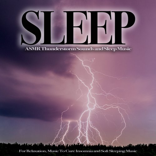 Music For Sleeping Ensemble cover art