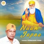 Naam Japna