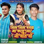 Nila Nila Bayda Ma Karsu Prem Ni Vaat (Lofi Mix)