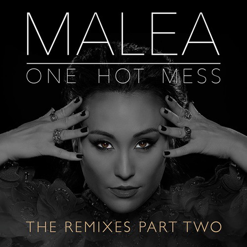 One Hot Mess (Marc Macrowland Remix)