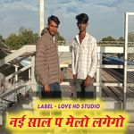 नई साल प मेलो लगेगो