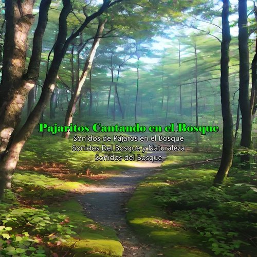Pajaritos Cantando en el Bosque, Pt. 48 cover art