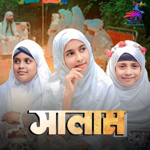 Salam