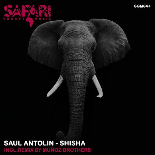 Shisha (Muñoz Brothers Remix) cover art