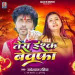 Tera Ishq Bewafa