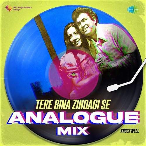 Tere Bina Zindagi Se - Analogue Mix