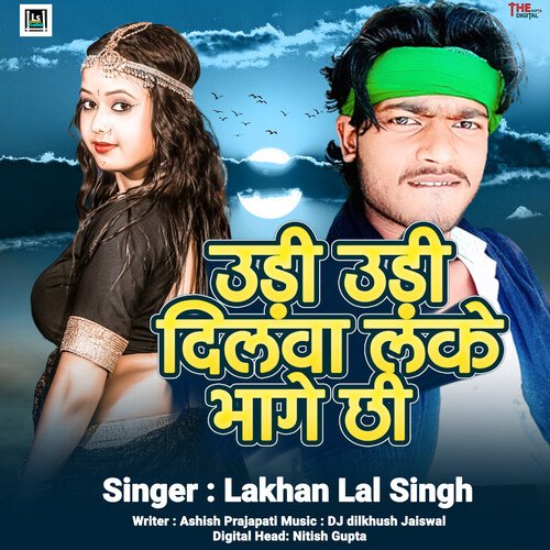 Udi Udi Dilwa Lake Bhage Chhi cover art