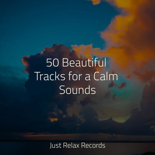 50 Beautiful Tracks for a Calm Sounds