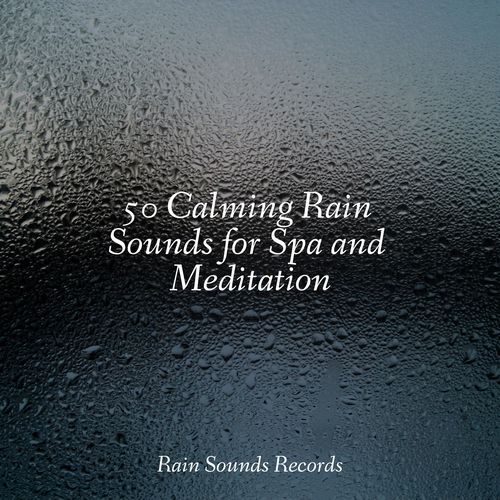 50 Calming Rain Sounds for Spa and Meditation