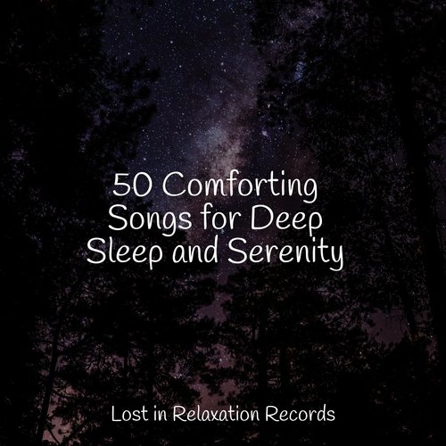 Purple Sky Serenity - Song Download from 50 Comforting Songs for Deep Sleep  and Serenity @ JioSaavn