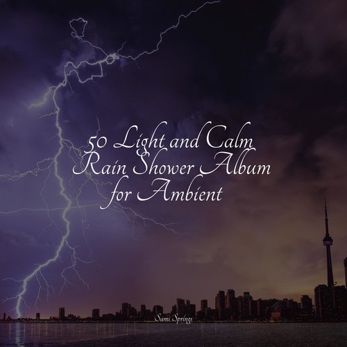 50 Light and Calm Rain Shower Album for Ambient_poster_image