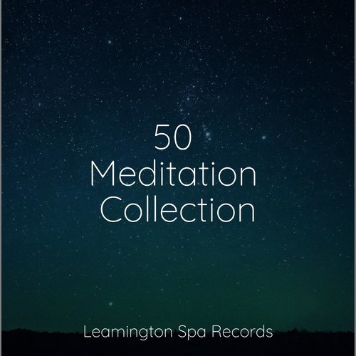 50 Meditation Collection