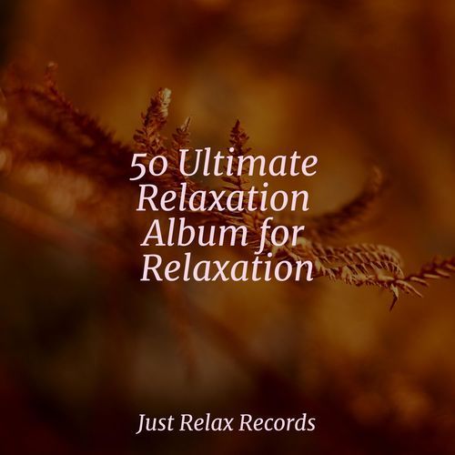 50 Ultimate Relaxation Album for Relaxation