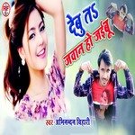 Debu Ta Jawan Ho Jaibu