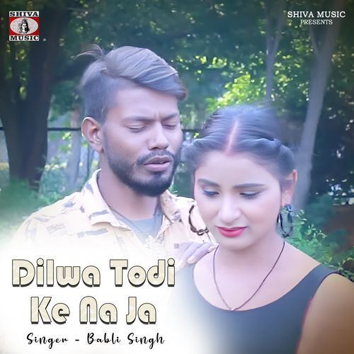 Dilwa Todi Ke Na Ja