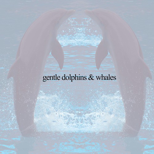 Gentle Dolphins & Whales 100