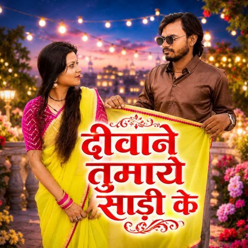 दीवाने तुमाये साड़ी के
