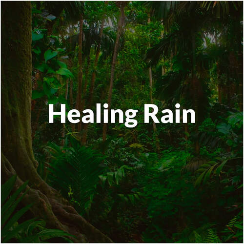 Calm Relaxation (with Nordic Rain) cover art
