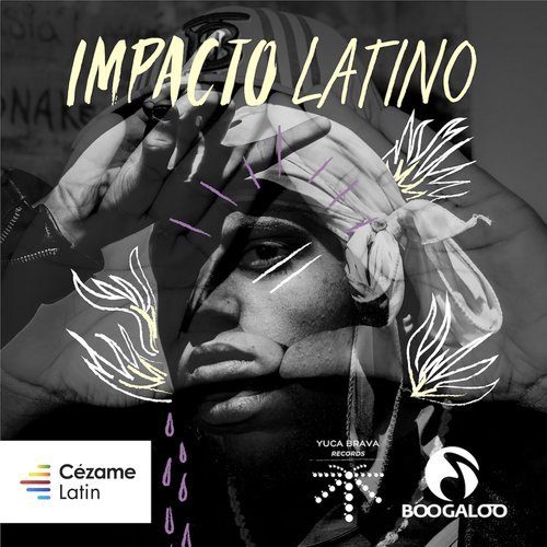 Impacto Latino_poster_image