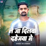 Le Ja Dilwa Dahejwa Me