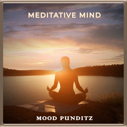 Meditative Mind_poster_image