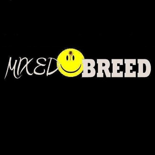 Mixedbreed