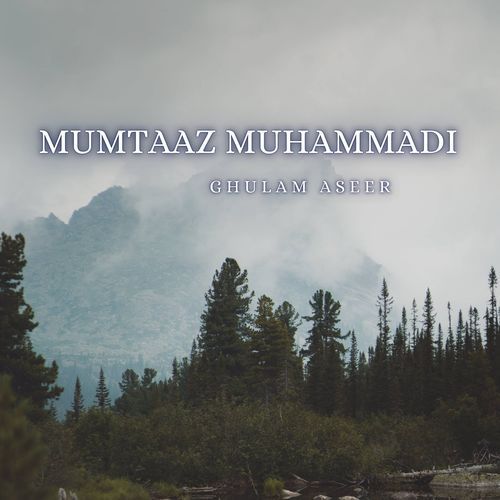 Mumtaaz Muhammadi