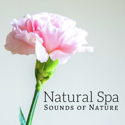 Natural Spa: Sounds of Nature, Piano Music, Meditation Music for Sleep, Wellness Centers and Spa