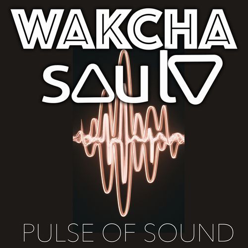 Pulse of Sound_poster_image