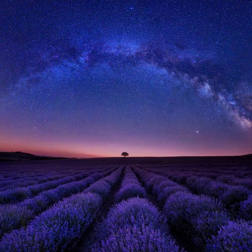 Quiet Night Harmony: Soothing Melodies for Evening Relaxation