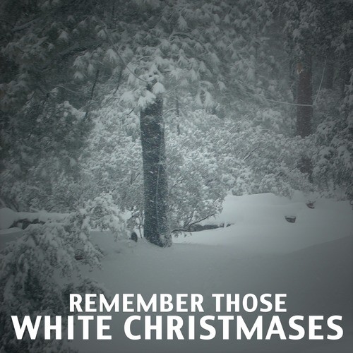 Remember Those White Christmases