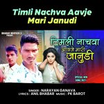 Timli Nachva Aavje Mari Janudi