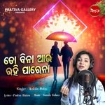 To Bina Aau Rahi Parena