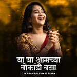 Ya Ya Amchya Bokandi Basa (DJ Remix)