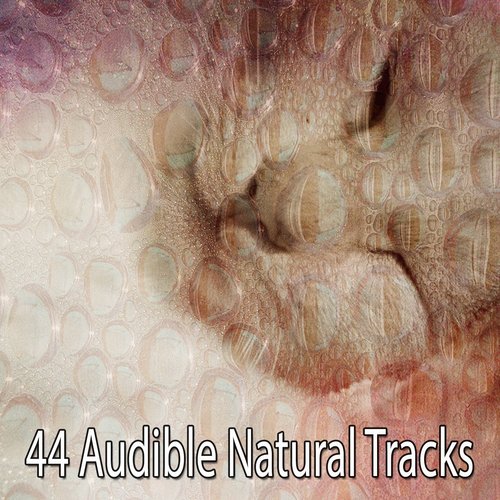 44 Audible Natural Tracks