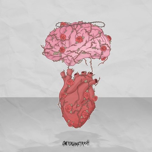 Alex cover art