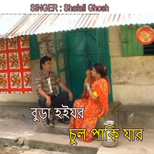 বুড়া হইযর চুল পাকি যার