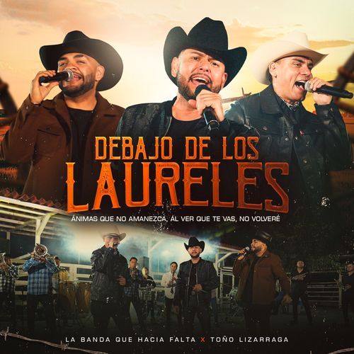 Debajo De Los Laureles / No Volveré / Animas Que No Amanezca / Al Ver Que Te Vas