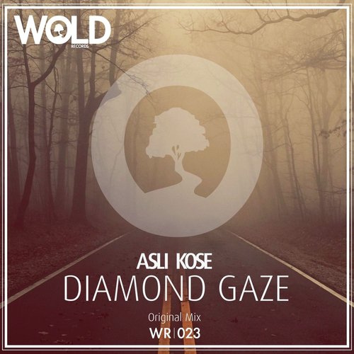 Diamond Gaze cover art