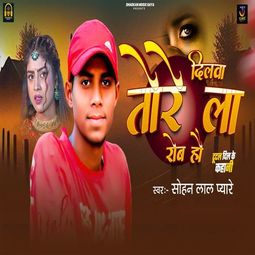 Dilwa Tore La Roba Hau