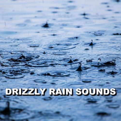 Drizzly Rain Sounds