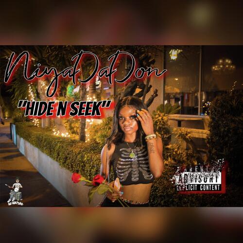 Hide N Seek cover art