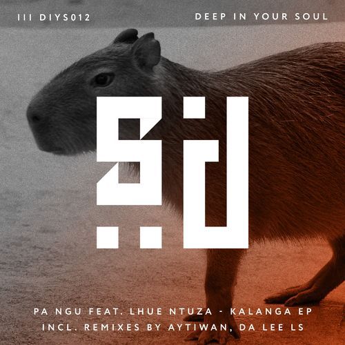 Ndiyahamba (Da Lee LS Remix) cover art