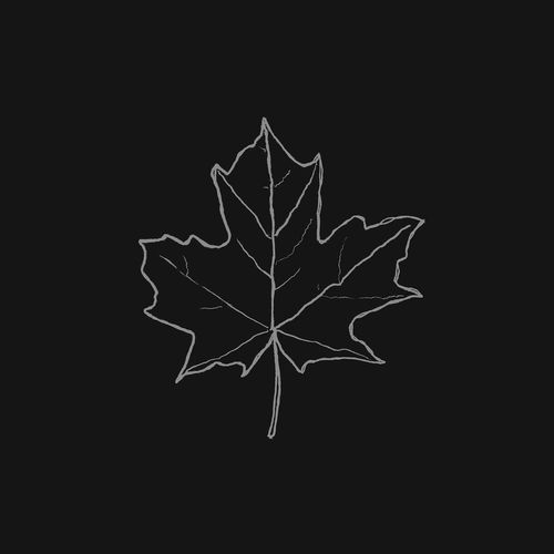 Leaf Songs Download Free Online Songs JioSaavn