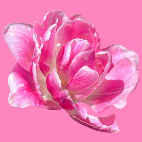 Lullaby (Alt. Take) [feat. Tristan De Liege] cover art