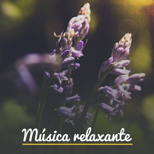 Sono profundo cover art