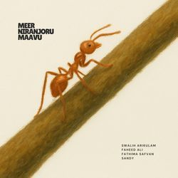 Meer Niranjoru Maavu